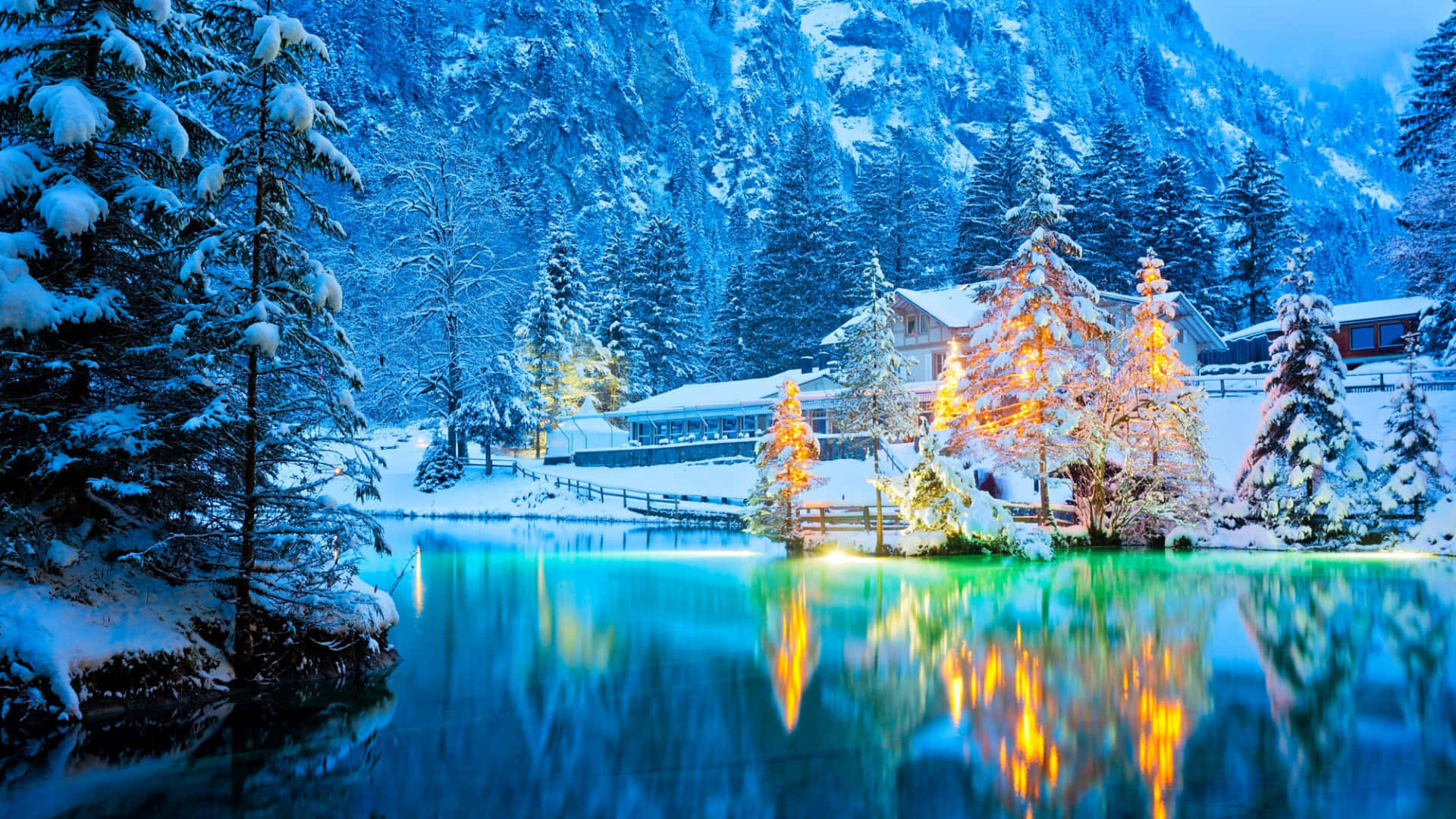 Lichteran Tannenbäumen In Winterlicher Landschaft (desktop-hintergrund) Wallpaper