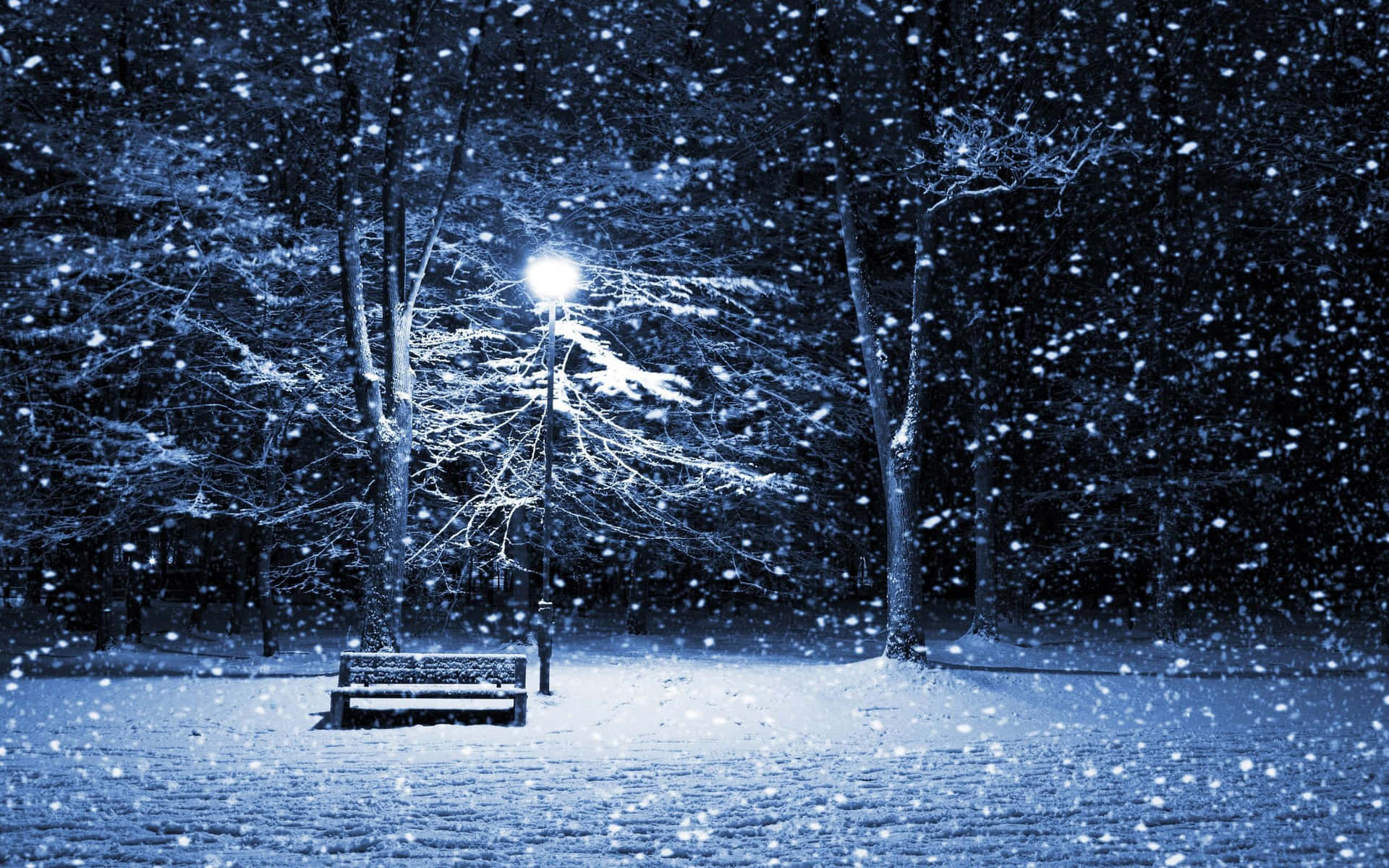 Lamp Post And Snowfall Winter Scenery Desktop Wallpaper