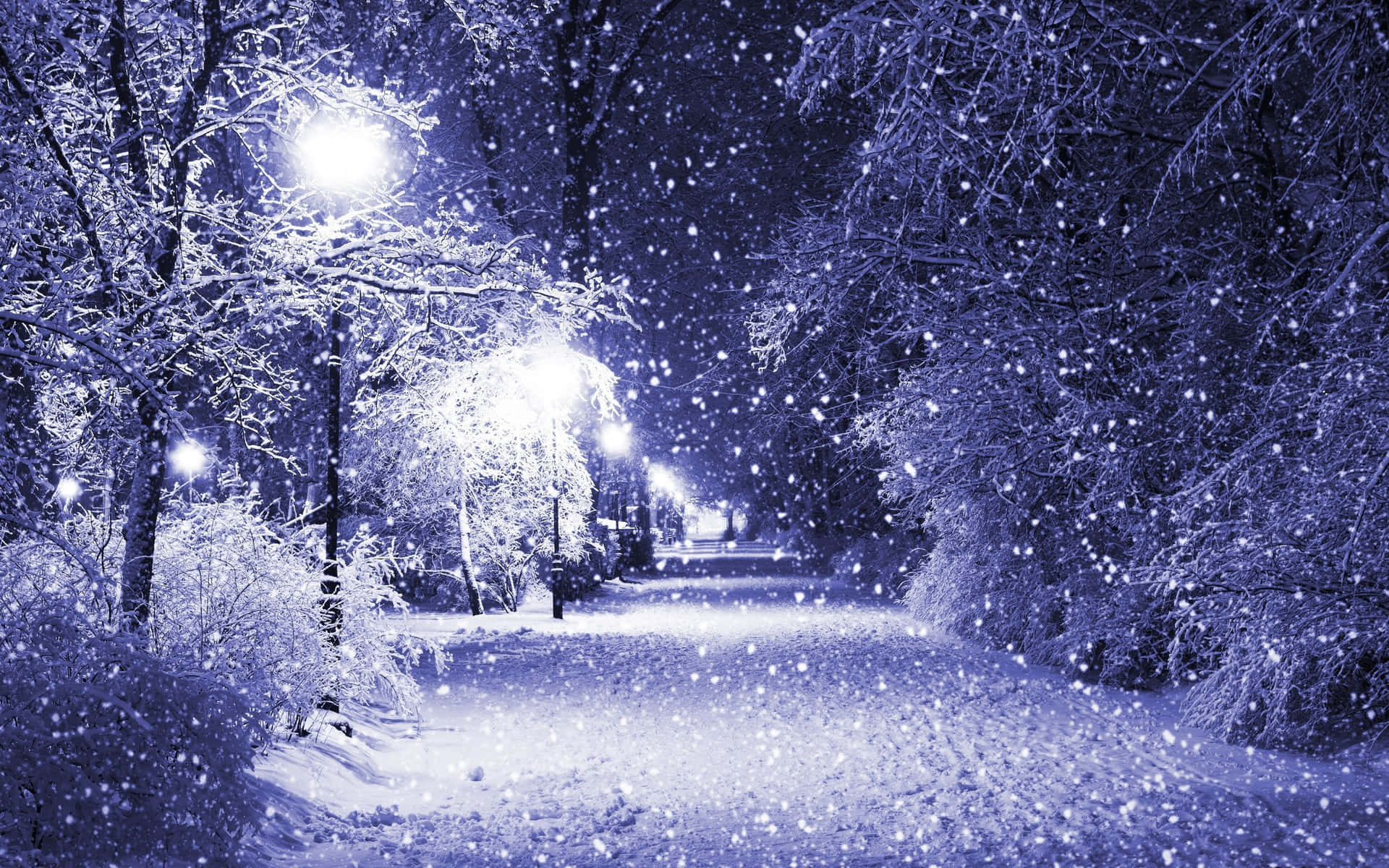 Escenamajestuosa De Nieve En Invierno. Fondo de pantalla