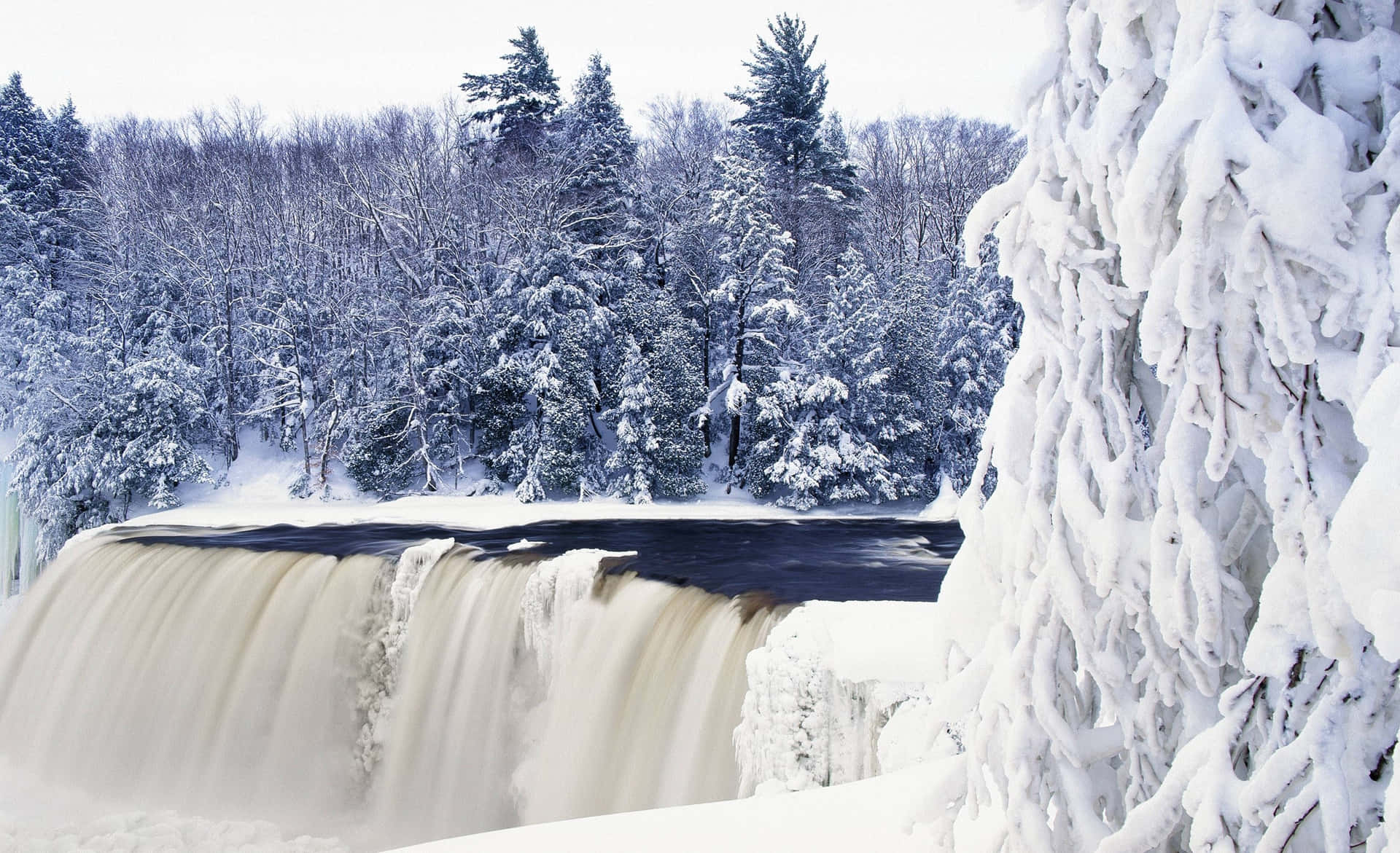 Experience the winter scenery of nature straight from your desktop Wallpaper