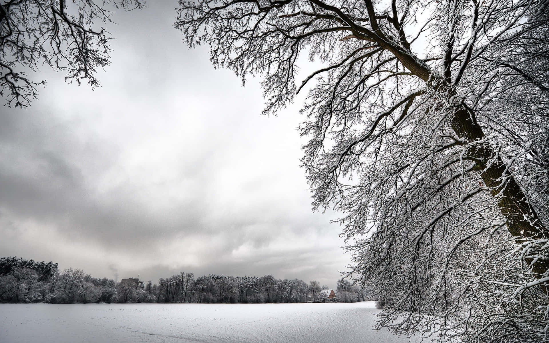 Enjoy a tranquil winter landscape with this winter scenery desktop wallpaper Wallpaper