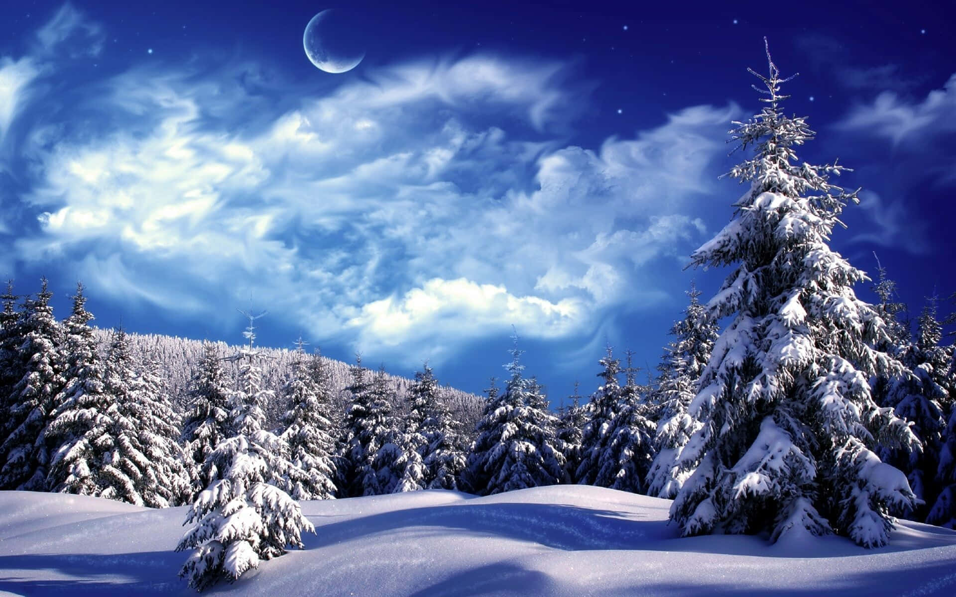 A beautiful winter landscape of pristine snow Wallpaper