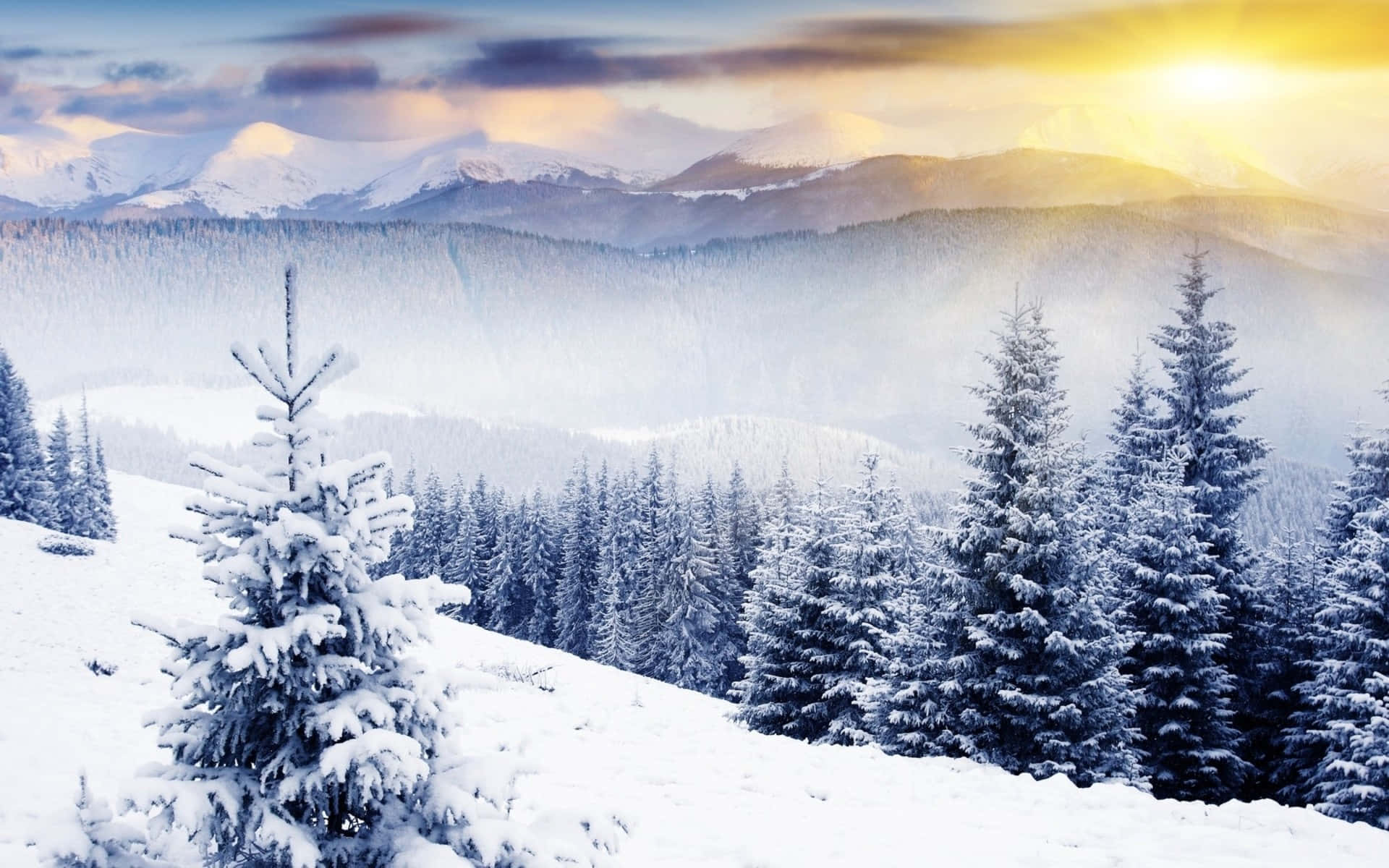 A Breath-taking View of a Snow-Capped Landscape Wallpaper