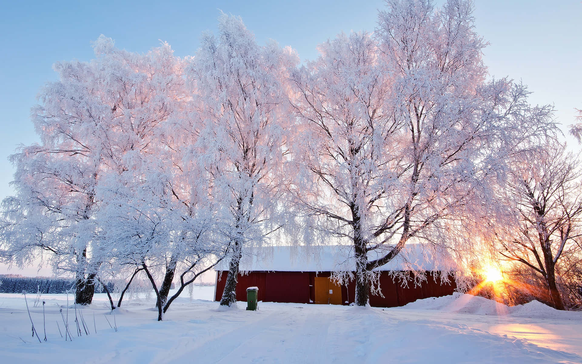 Serene Winter Scenery Wallpaper