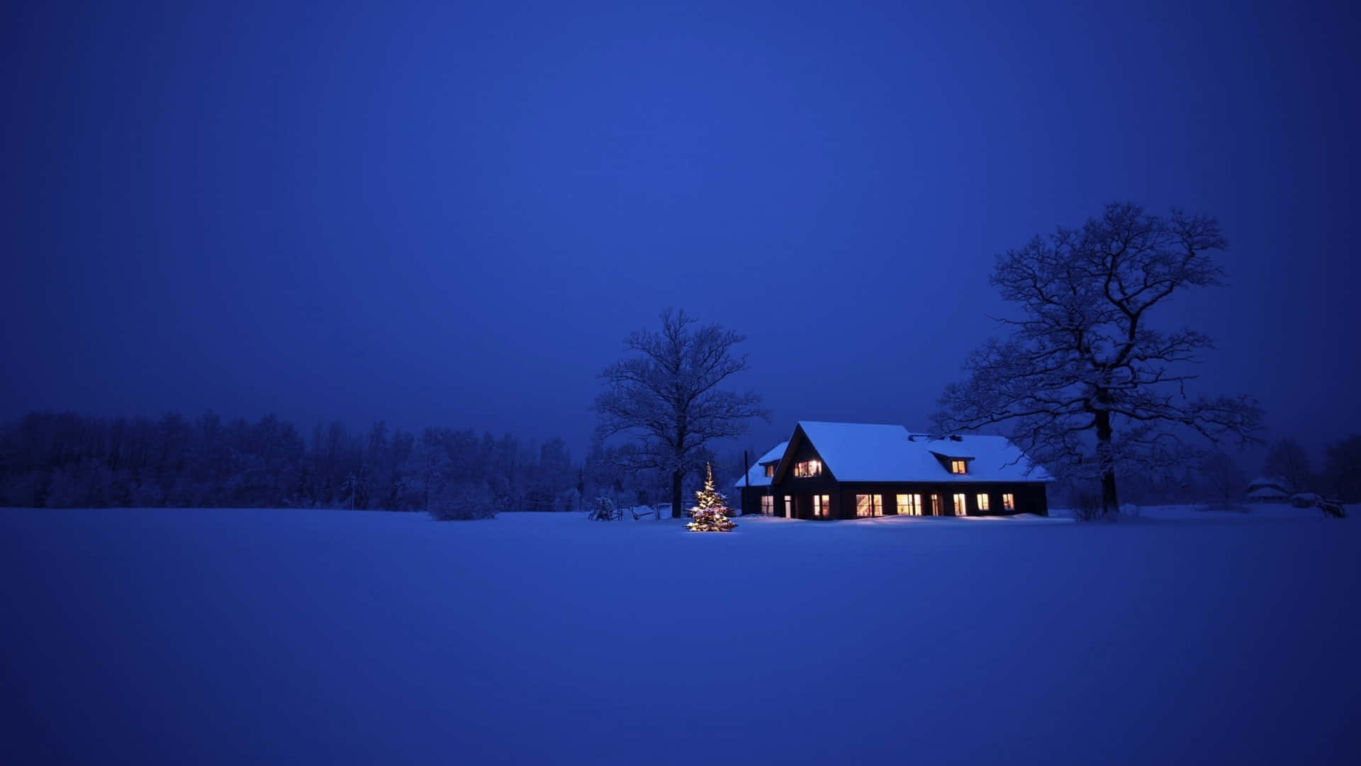Árbolesde Álamo Cubiertos De Nieve Contra Un Paisaje Invernal Montañoso. Fondo de pantalla