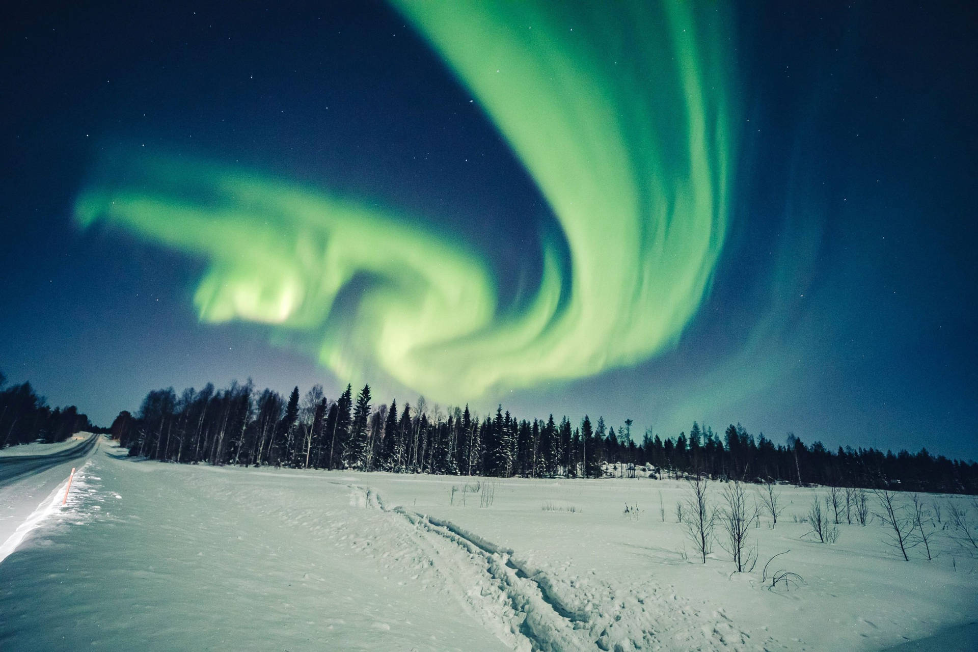 Winter Season Aurora Borealis Wallpaper