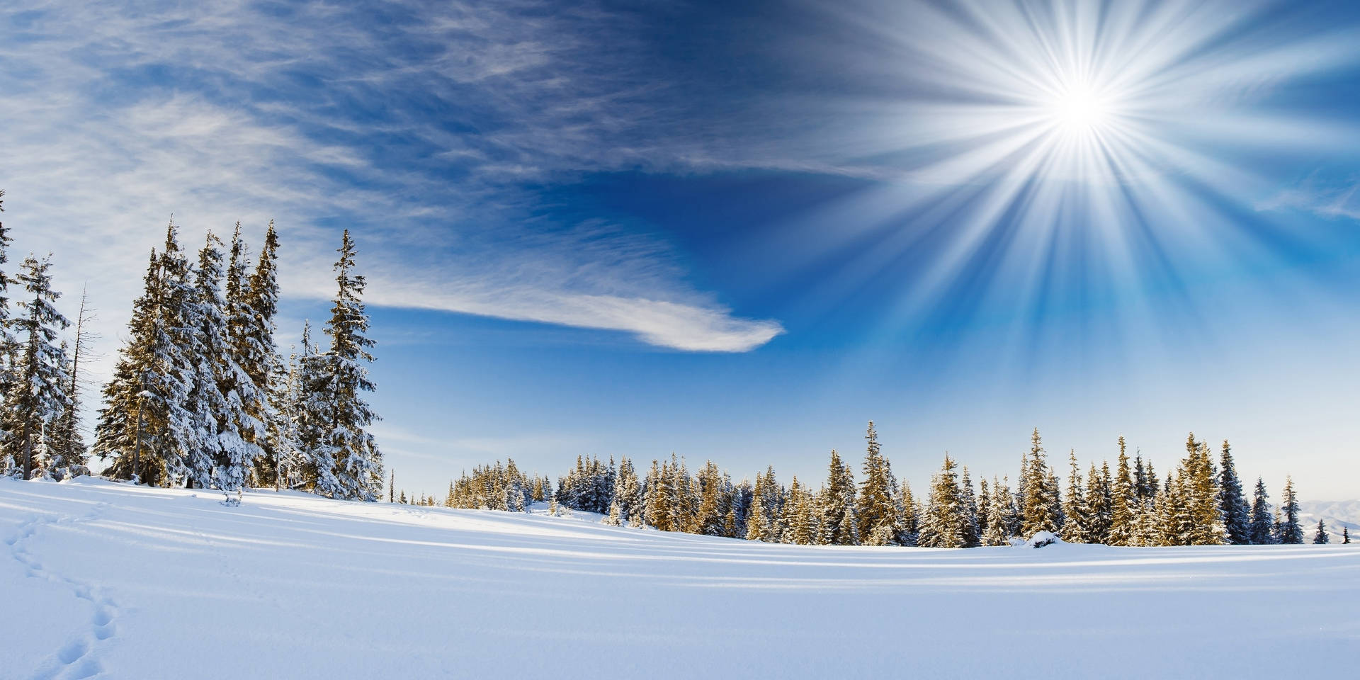 Winter Season Bright Sun Wallpaper