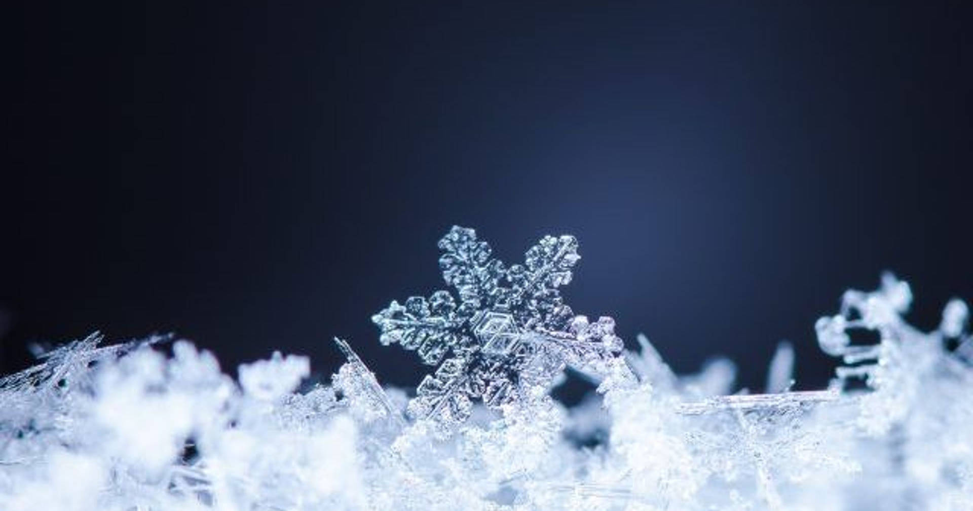 Winter Season Clear Snowflake Wallpaper