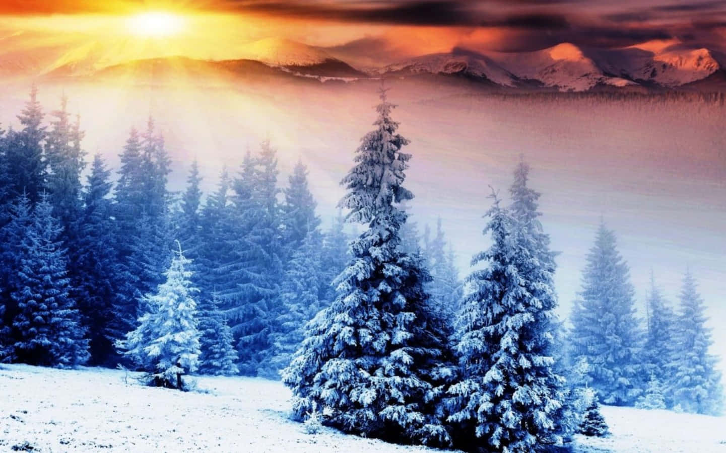 Desfruteda Beleza De Uma Terra De Maravilhas Coberta De Neve No Inverno.