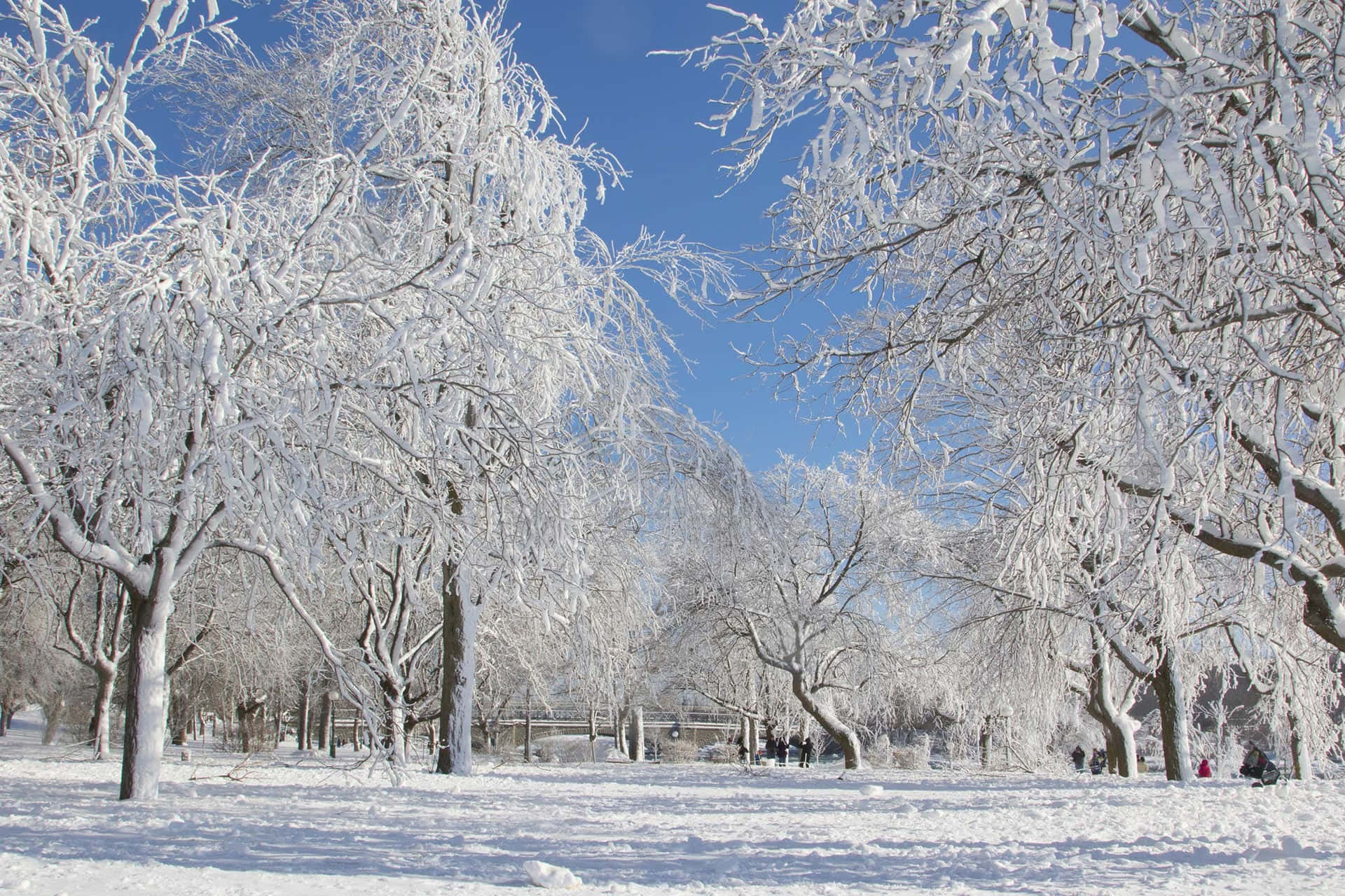 "This winter, enjoy a serene outdoor landscape like no other"