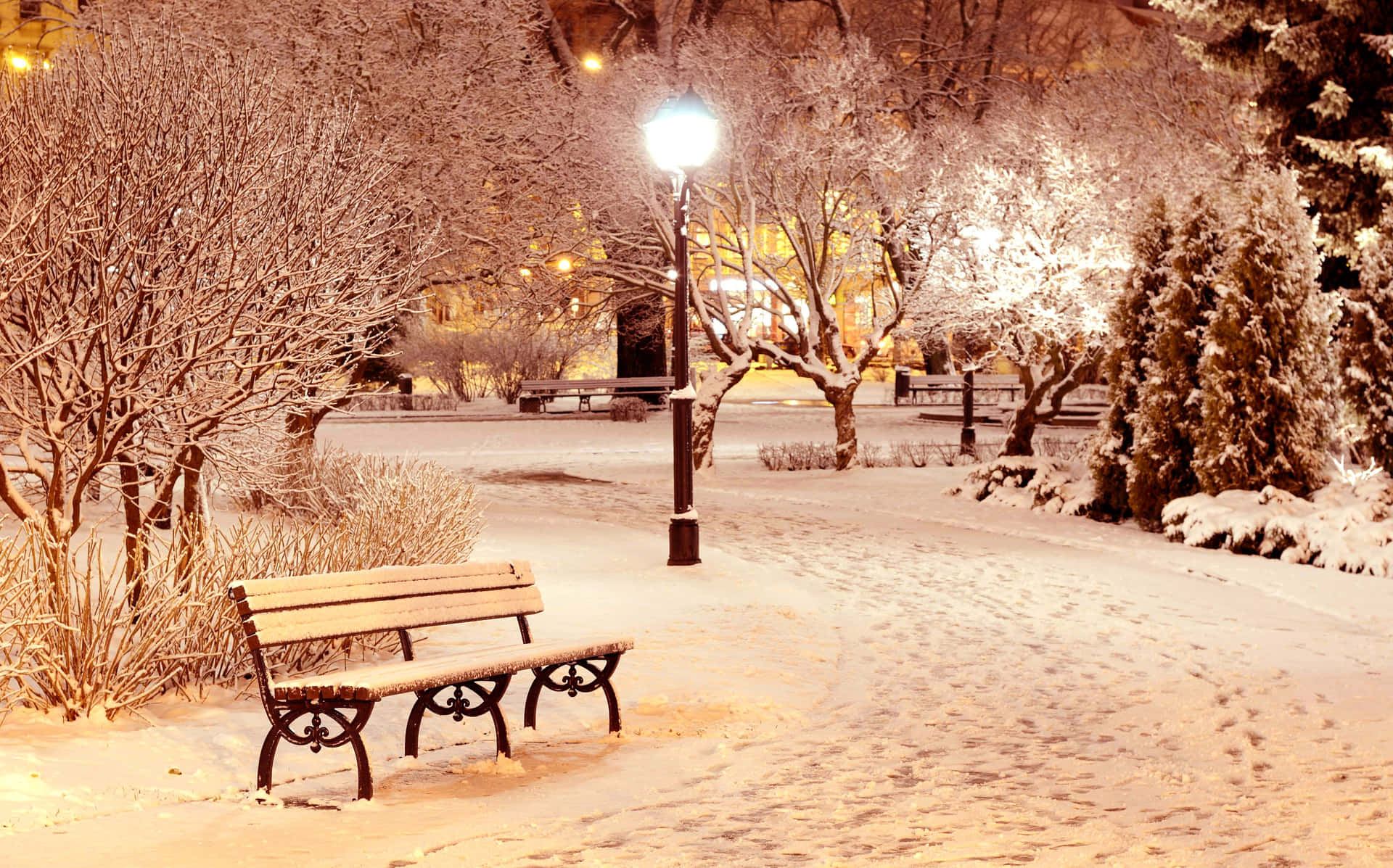 "A Magical Winter Wonderland"