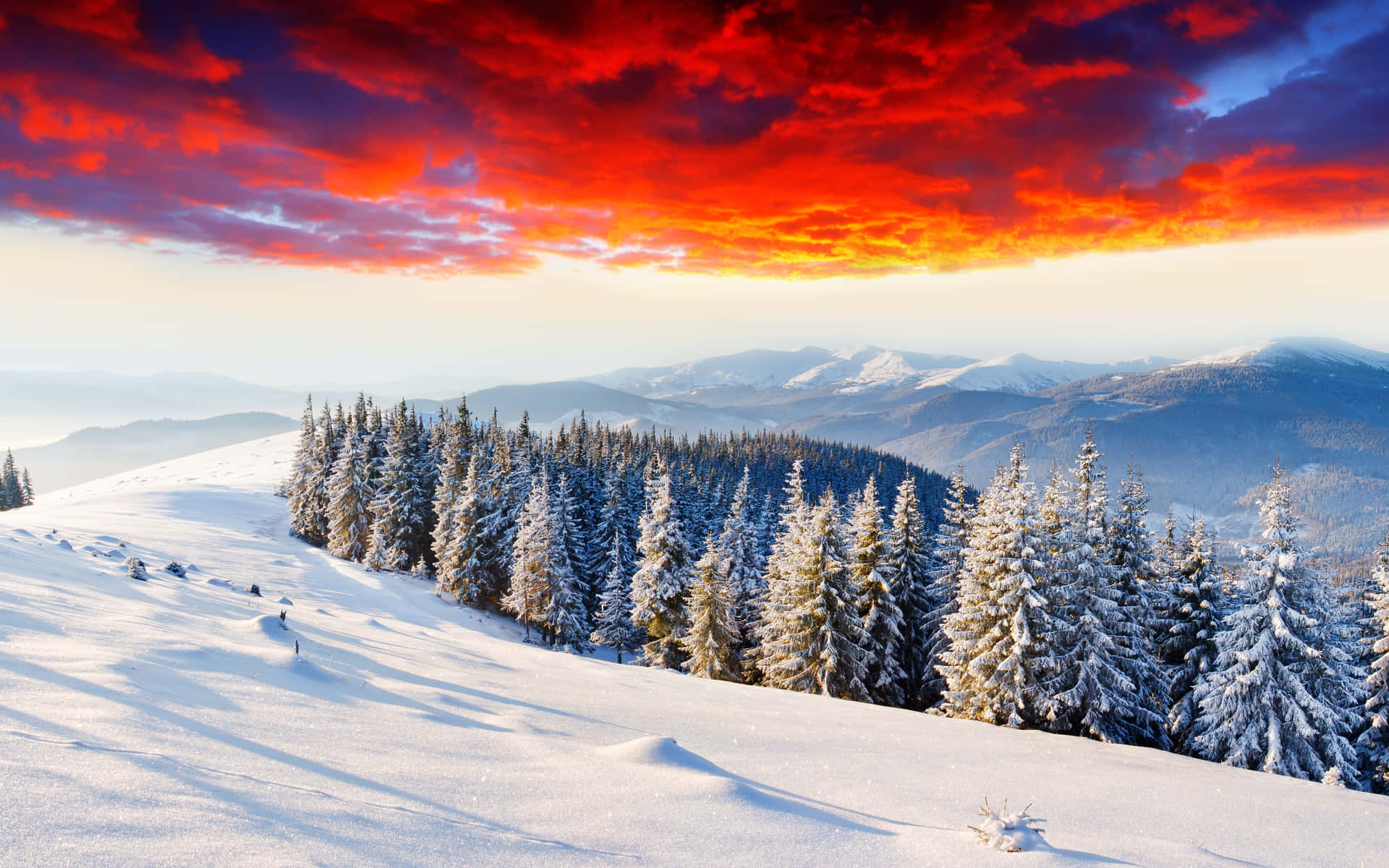 Einschneebedeckter Berg Mit Einem Roten Himmel Und Bäumen.