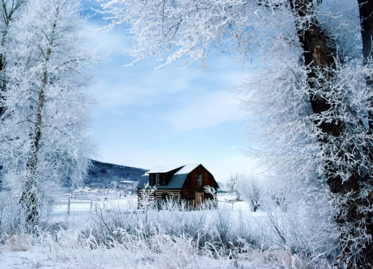 Nutzensie Die Wintersaison Optimal Aus Und Genießen Sie Die Schönheit Der Natur.