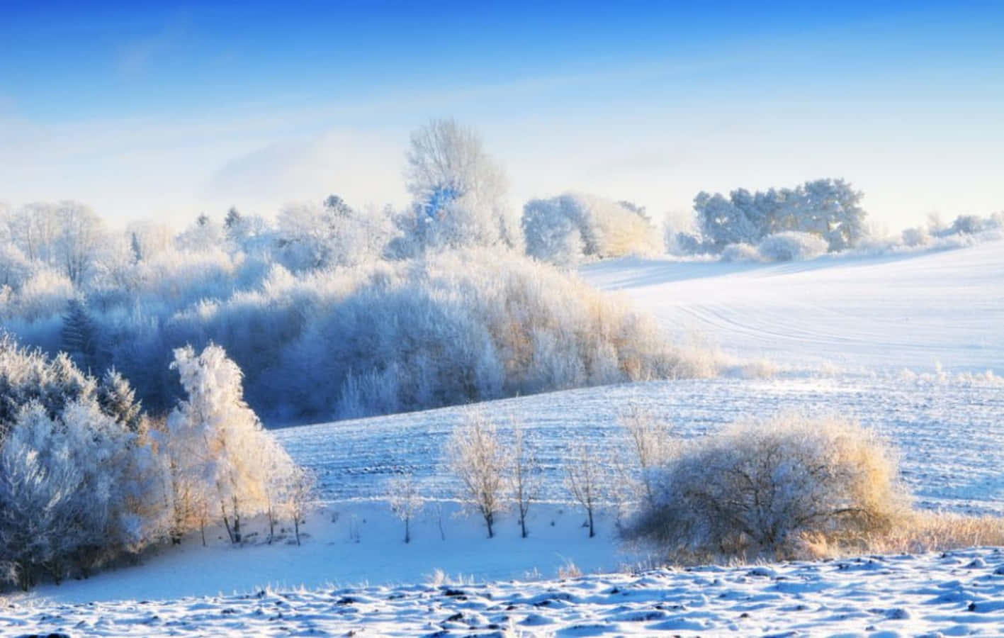 A beautiful scenic landscape of Winter season, with a picturesque light mist in the valley