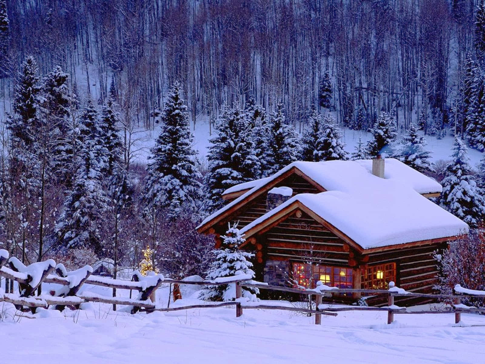 Snowy Winter Wonderland