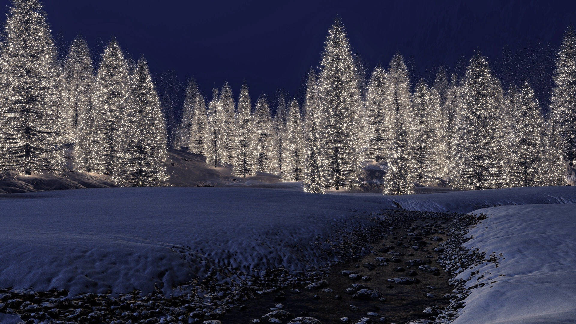 Winter Season Pine Tree Lights Wallpaper