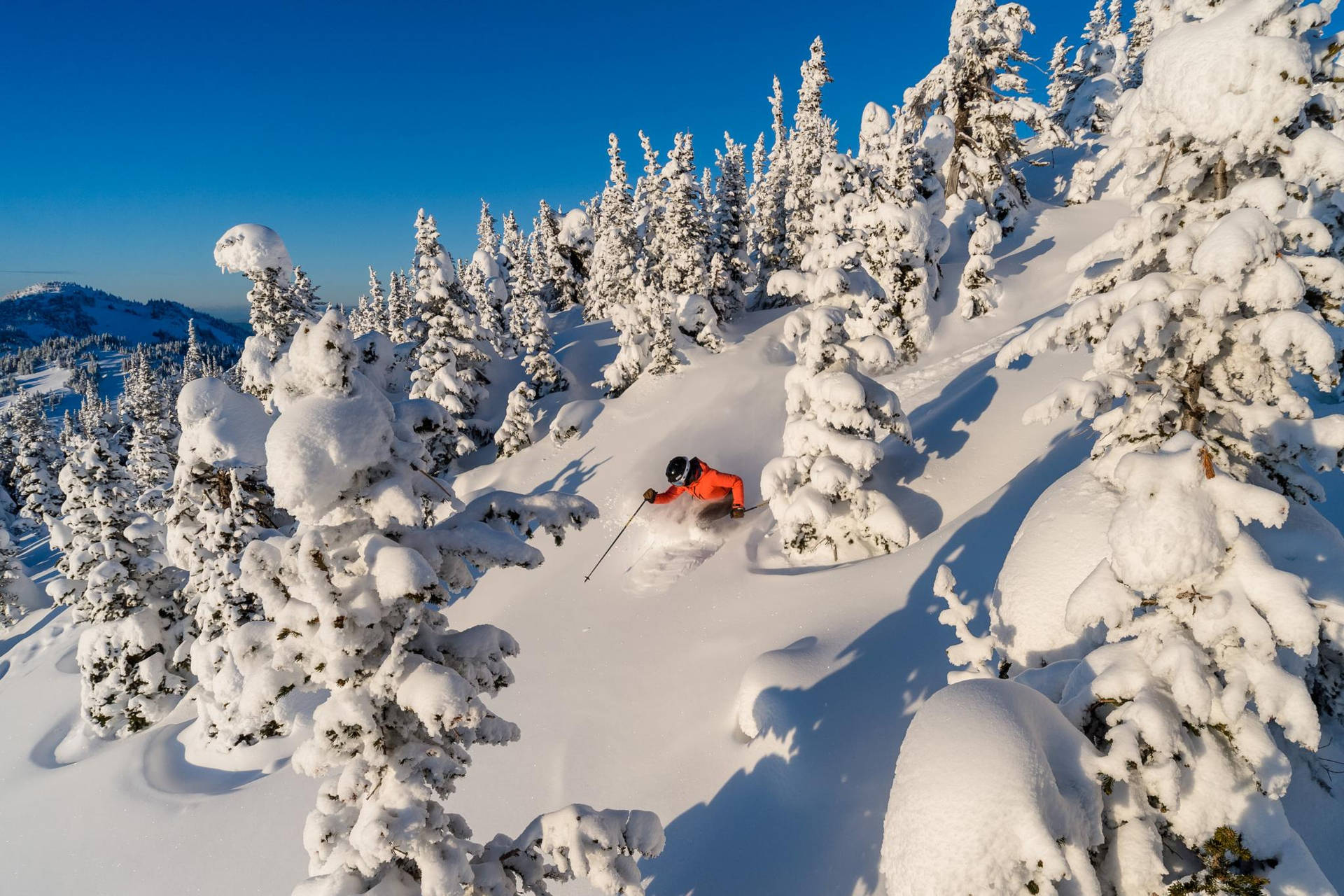 Paseode Esquí En La Temporada De Invierno Fondo de pantalla