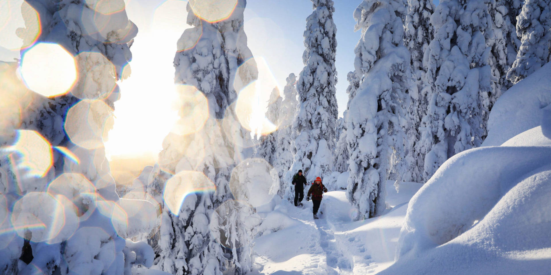 Paseoen La Nieve Durante La Temporada De Invierno. Fondo de pantalla