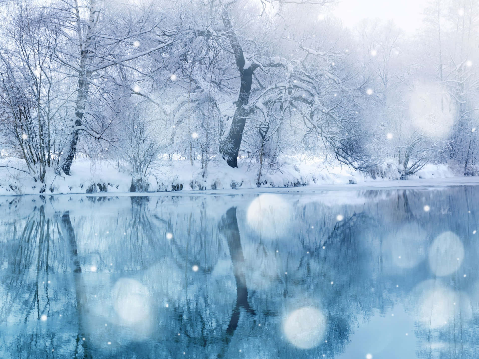 Breathtaking Winter Wonderland