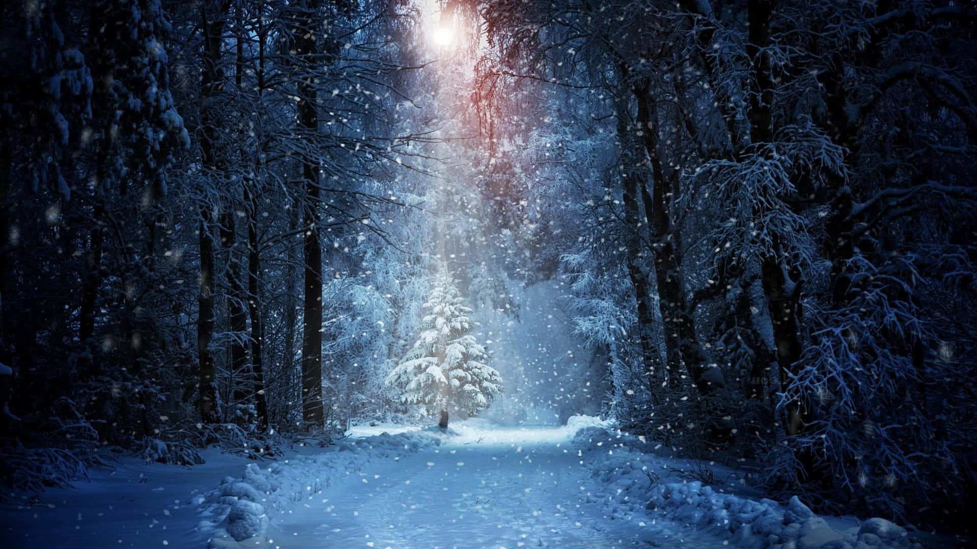 a snowy path with a light shining through it