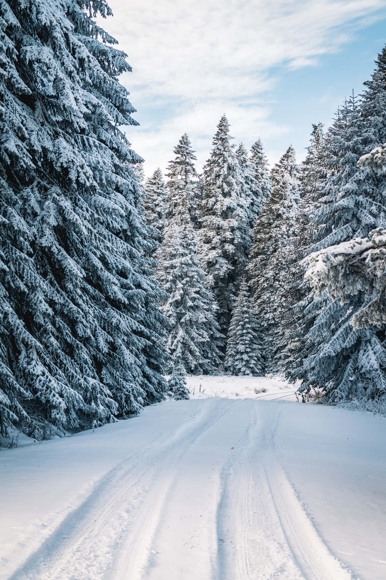 a snow covered road in the forest