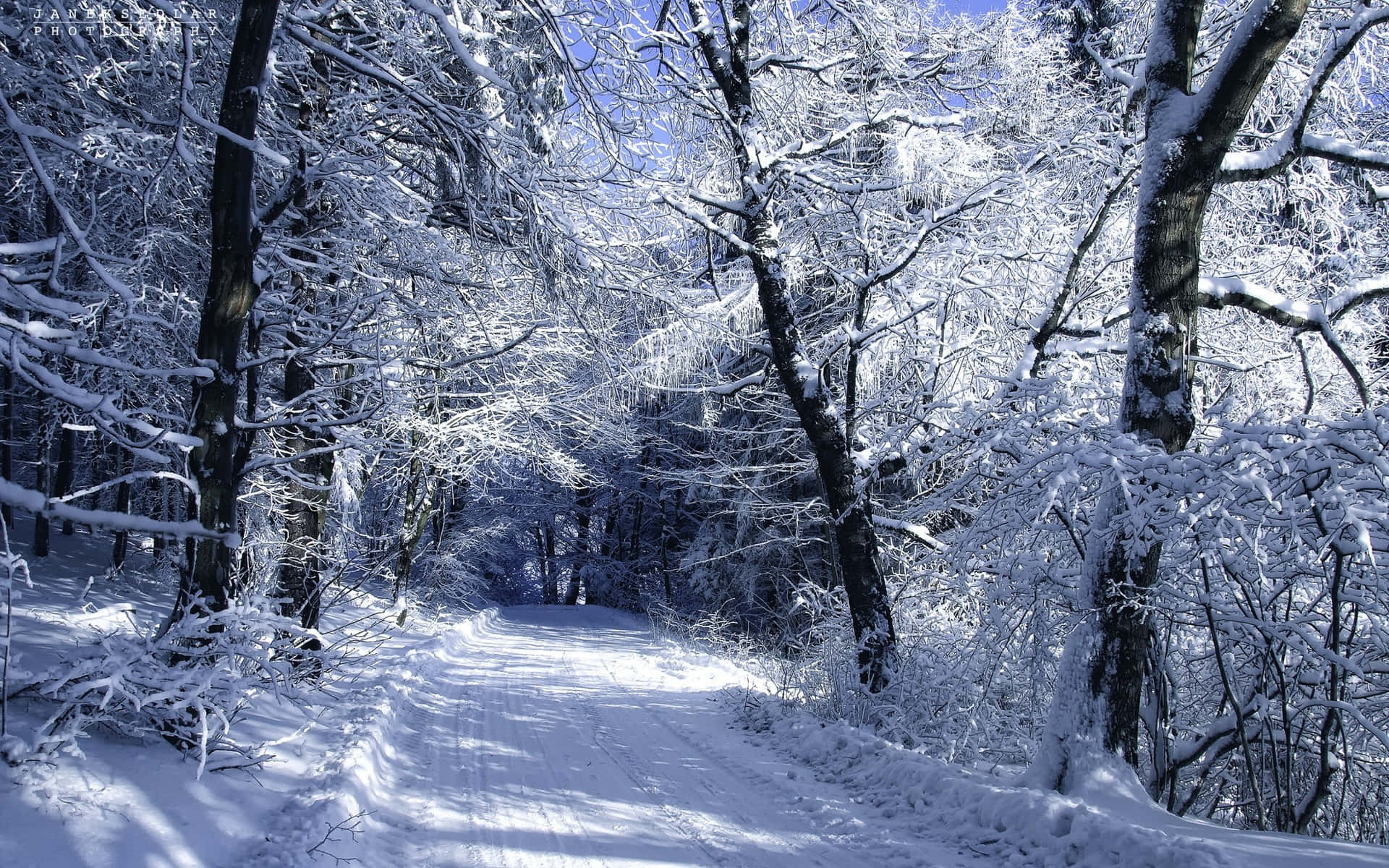 a snow covered path