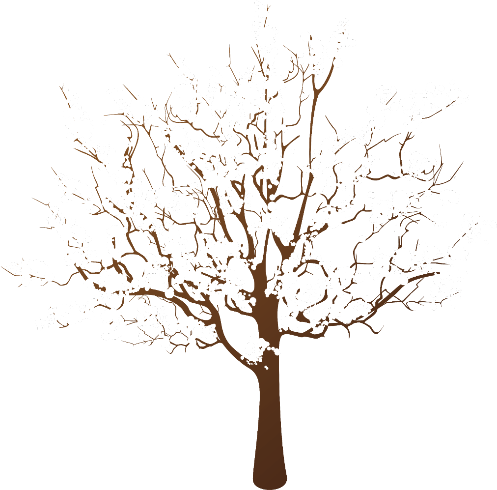 Winter Snow Covered Tree Illustration PNG