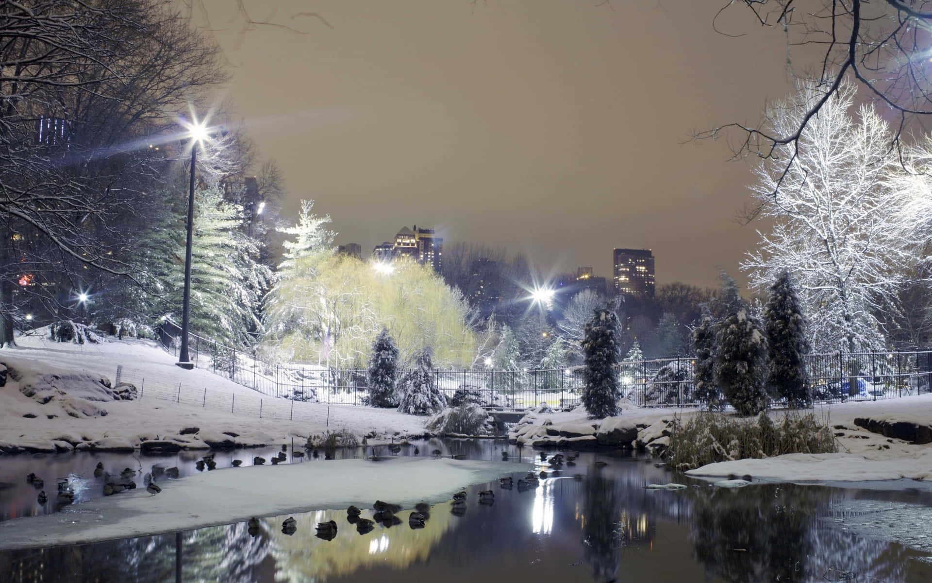 A Beautiful Winter Scene of a Snow-Covered Desktop Wallpaper
