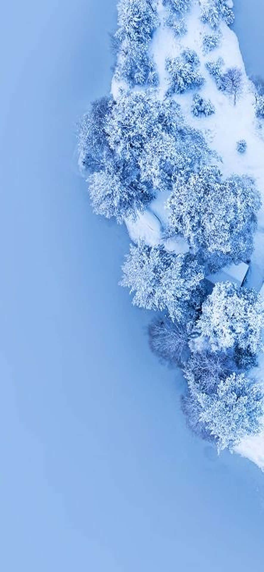 Genießensie Eine Winterwunderlandschaft Mit Diesem Wunderschönen Schneelandschafts-hintergrundbild Für Den Desktop. Wallpaper