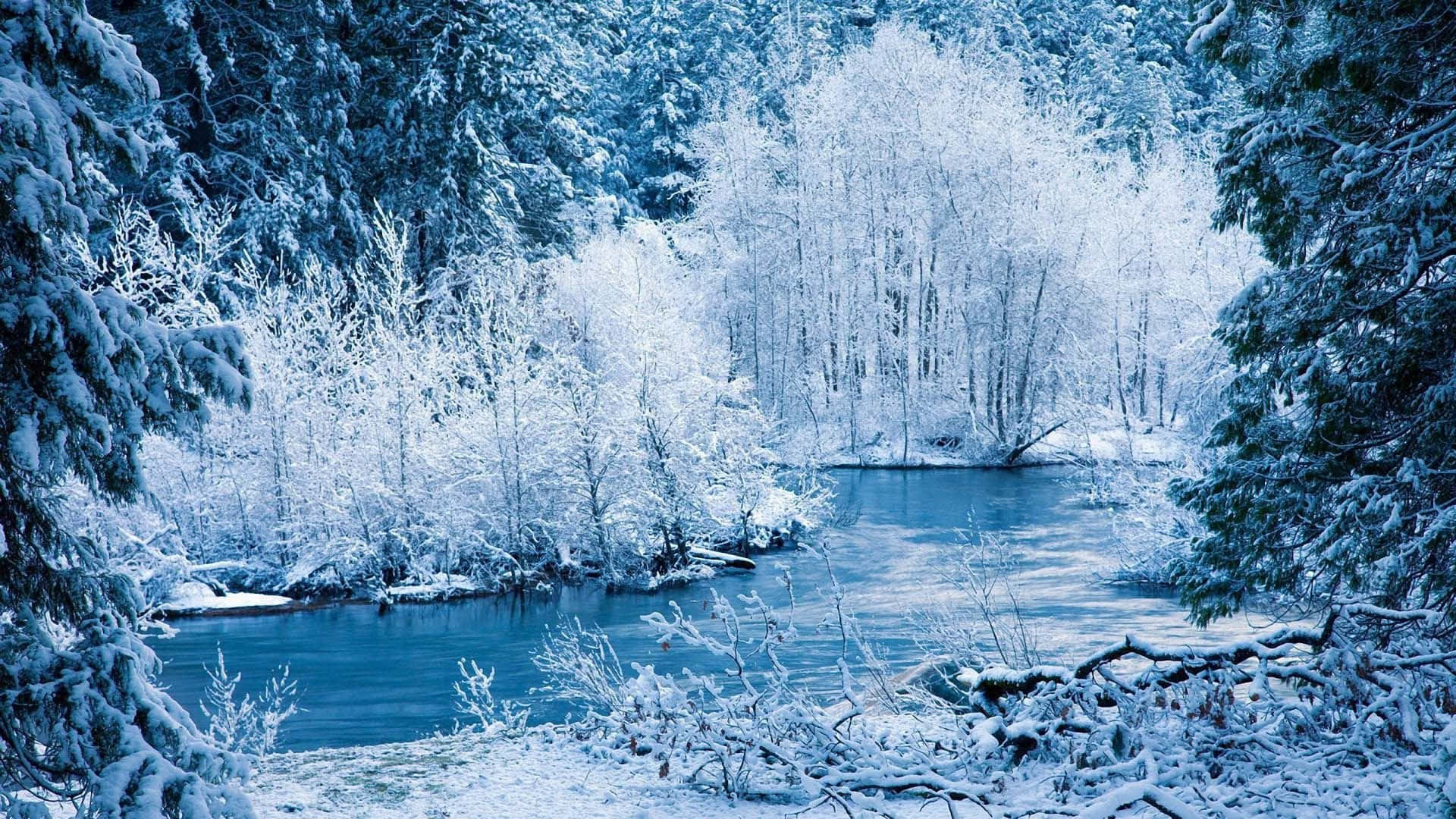 Enjoy the beauty of Winter in the comfort of your home Wallpaper