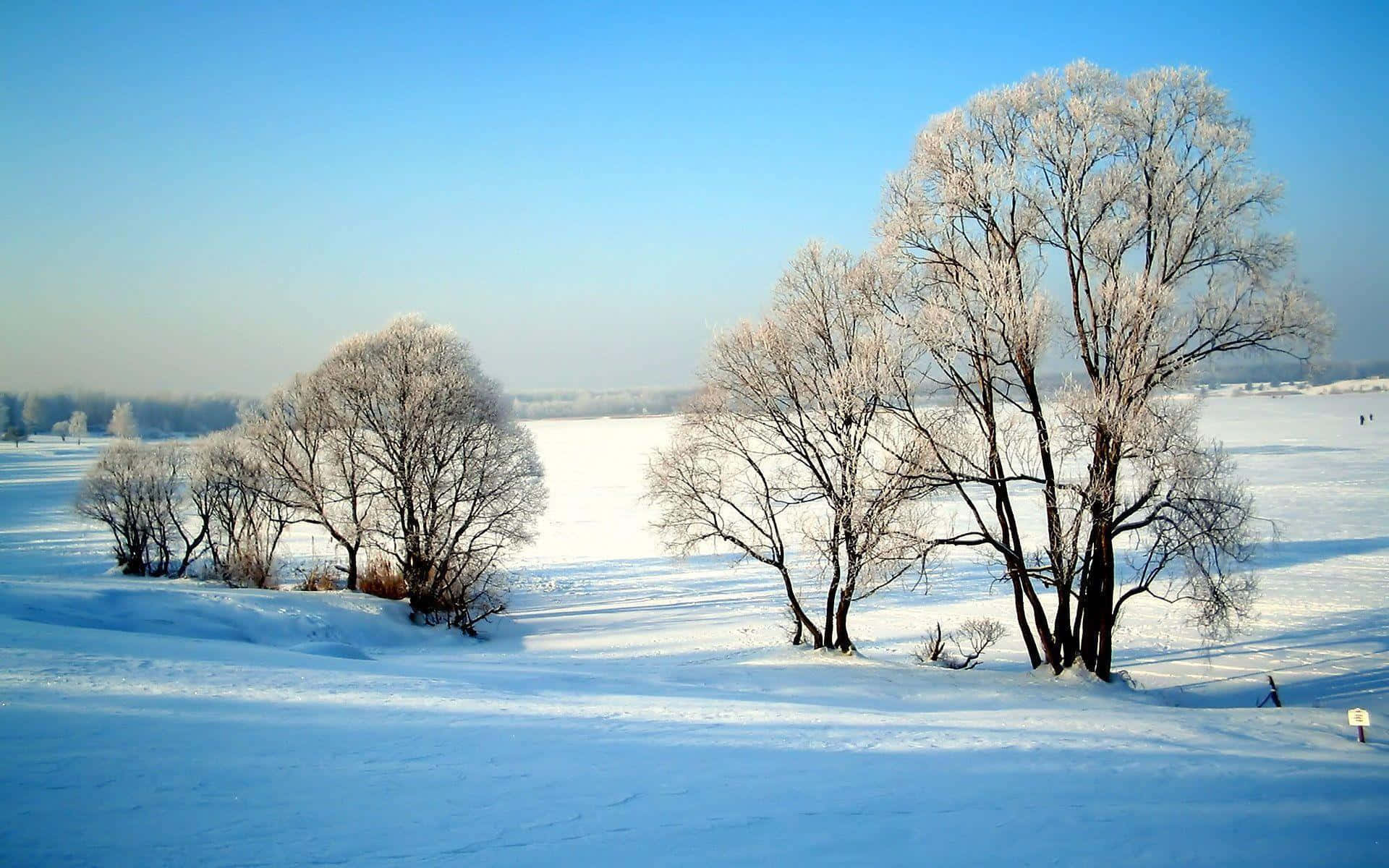 "A picturesque winter landscape viewed from a mountain peak." Wallpaper