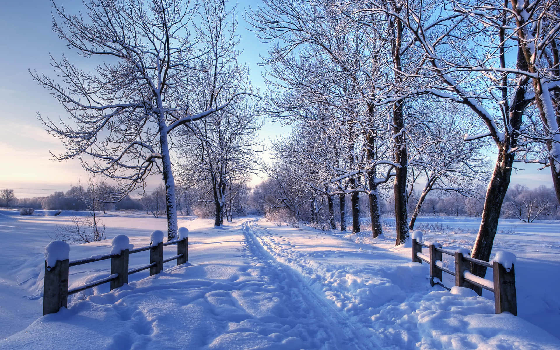 Enjoy a Winter Landscape with Magical Snow Wallpaper