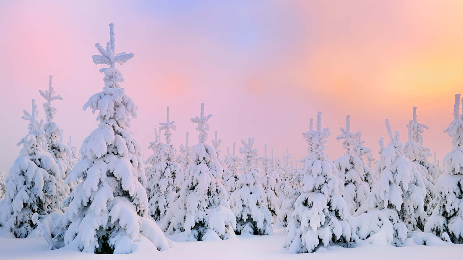 Genießensie Die Schönheit Des Winterlichen Schnees Mit Diesem Atemberaubenden Desktop-hintergrund! Wallpaper