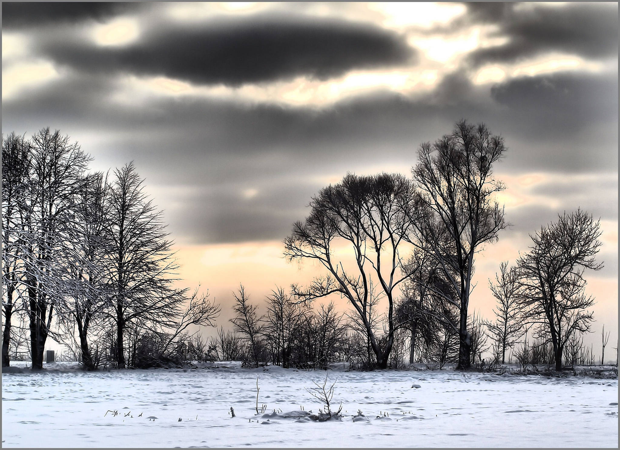 Gloomy Winter - The Beauty Within the Silence Wallpaper — Snow blankets a field of bare trees under a dramatic cloudy sky glowing with sunset hues.