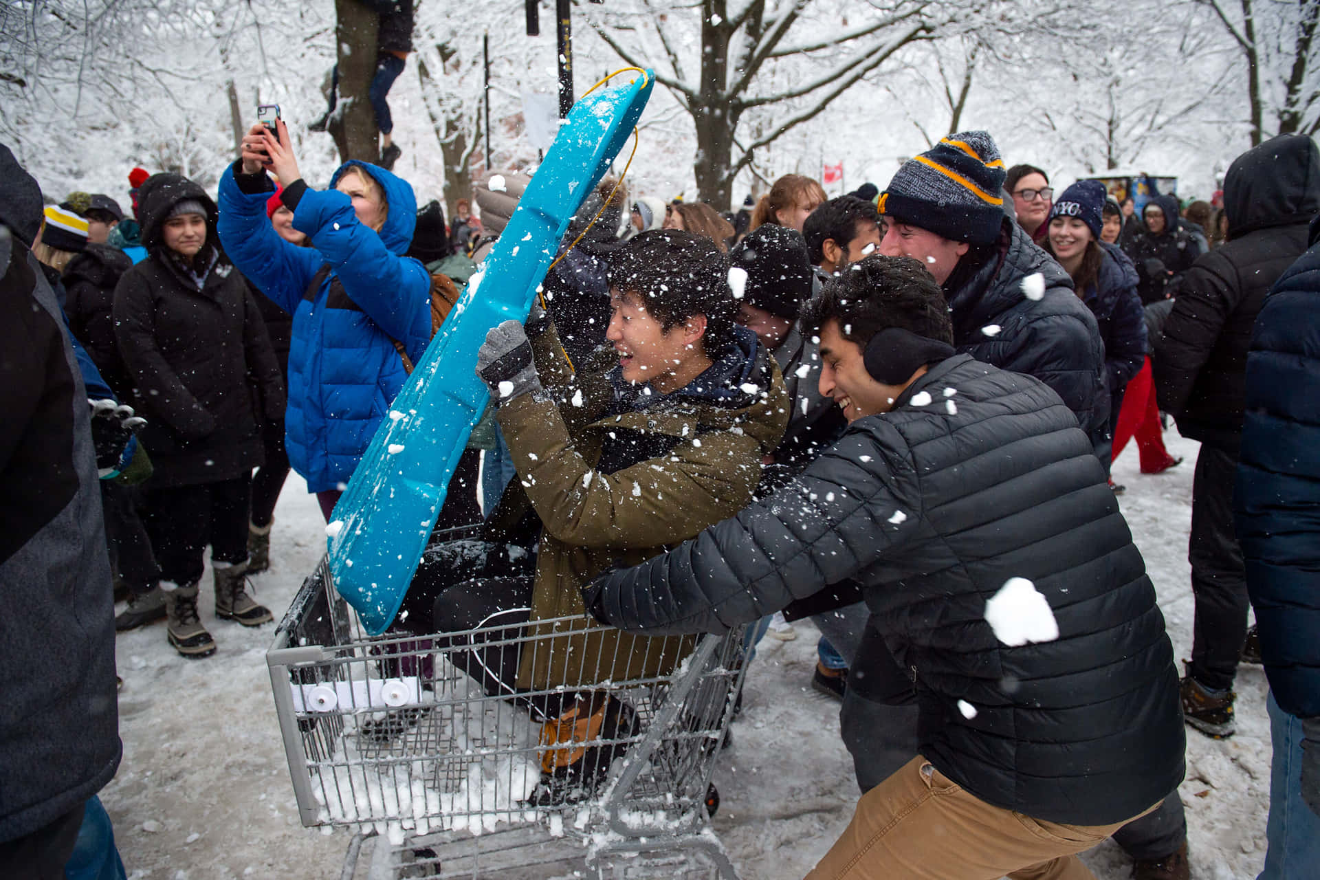 Winter Sneeuwbalgevecht Frenzy.jpg Achtergrond