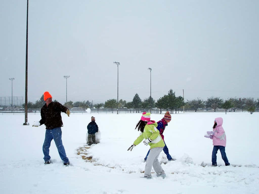 Winter Sneeuwbal Gevecht Plezier Achtergrond