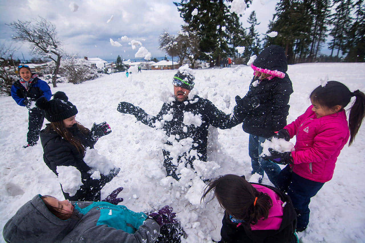 Amusement De Combat De Boules De Neige D'hiver.jpg Fond d'écran