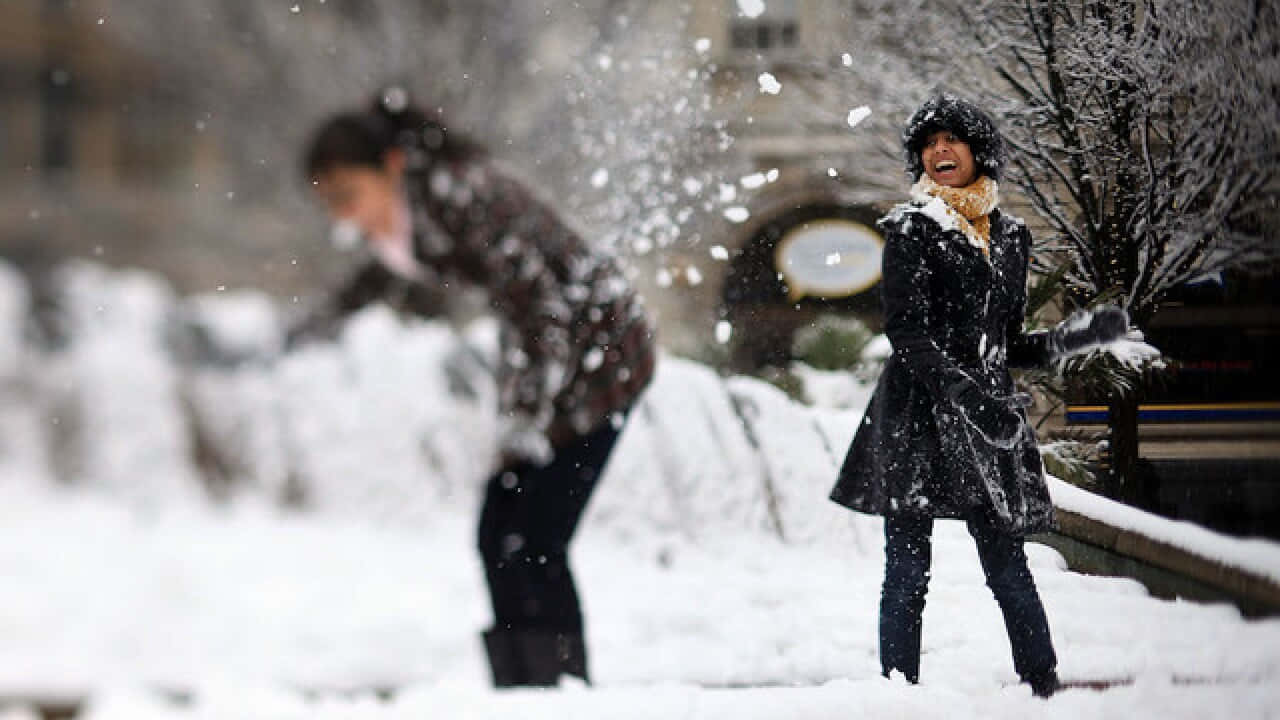 Bataille De Boules De Neige Joyeuse Fond d'écran