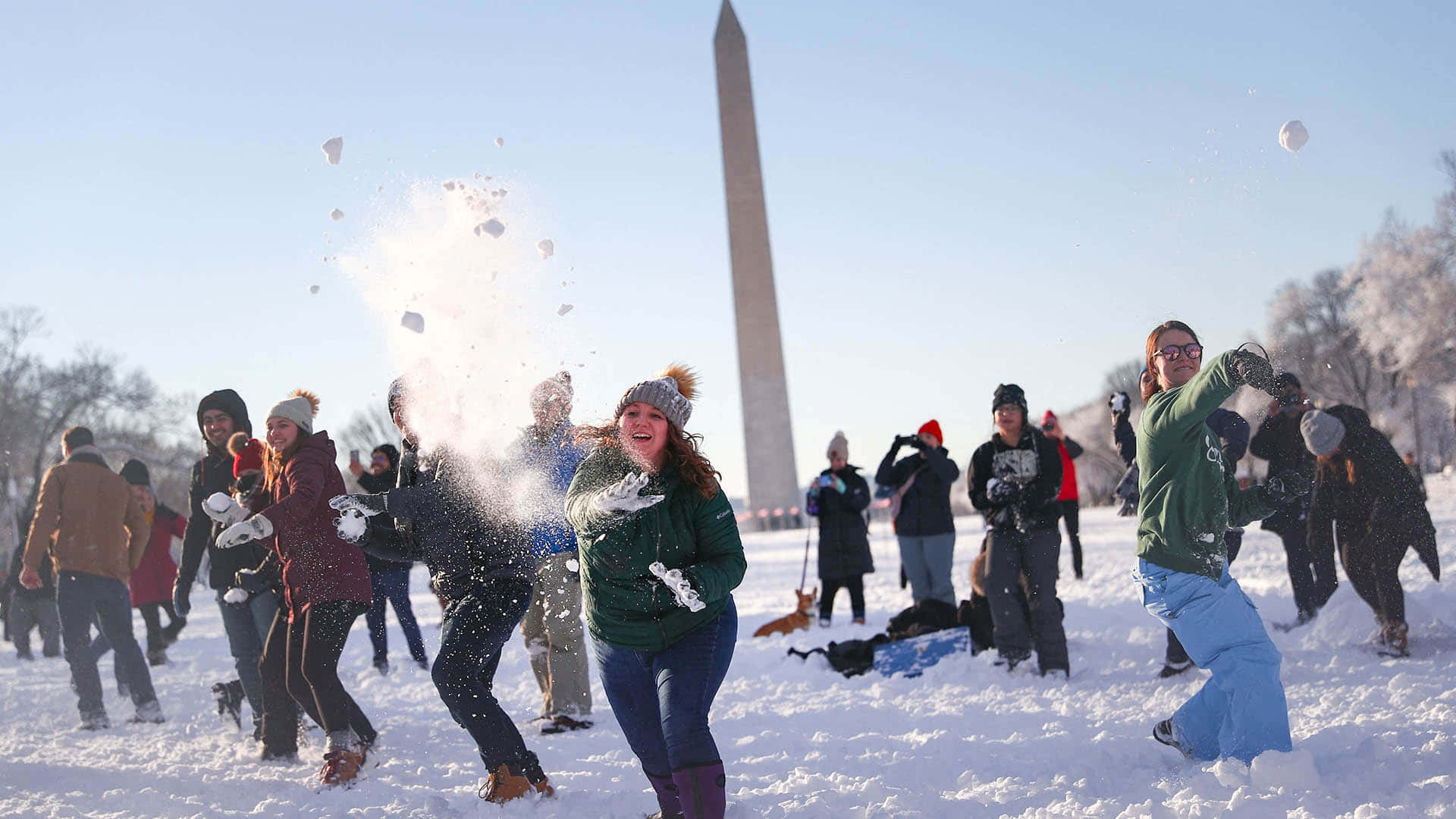 Combat De Boules De Neige D'hiver Monument De Washington Fond d'écran