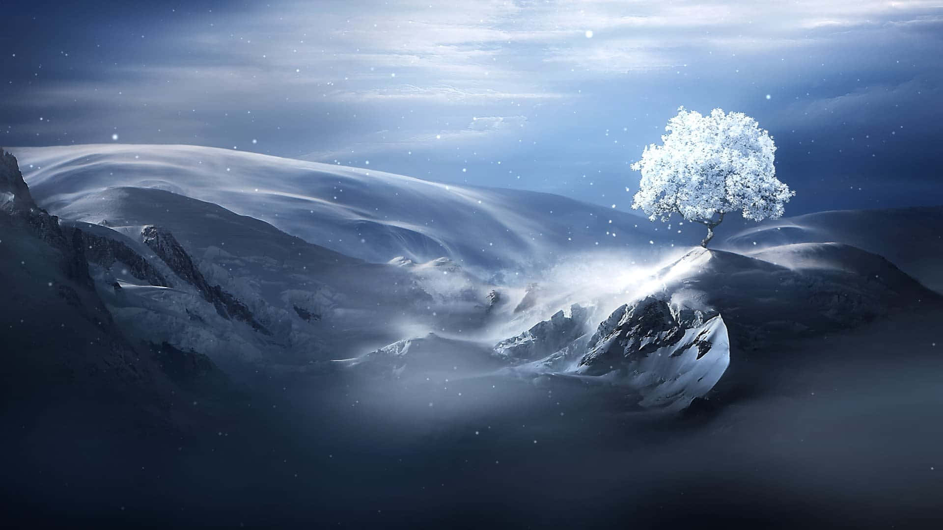 Winter Solitude Tree Wallpaper