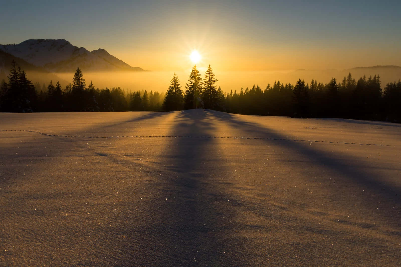 Winter Solstice - Snowy Landscape and Glittering Stars Wallpaper