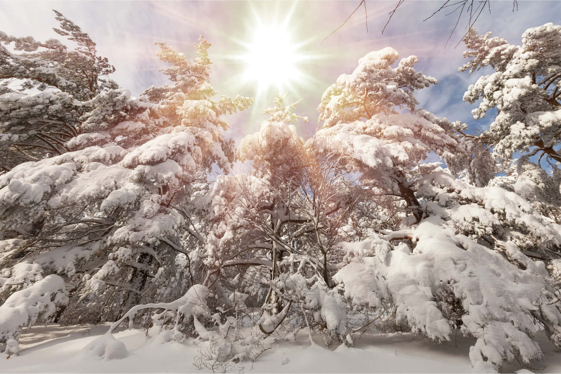 Download Winter Solstice 4500 X 3000 Wallpaper Wallpaper