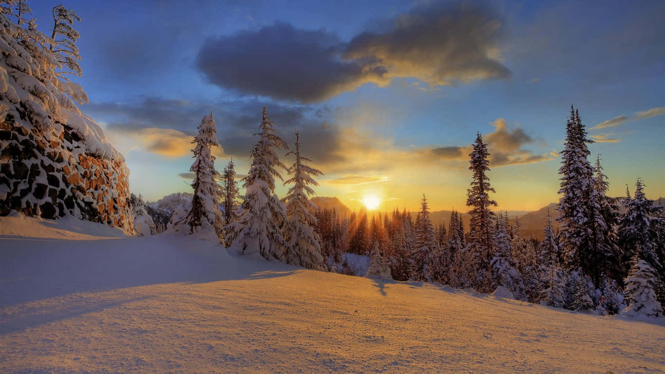 Winter Sun Shining Through Snowy Trees Wallpaper