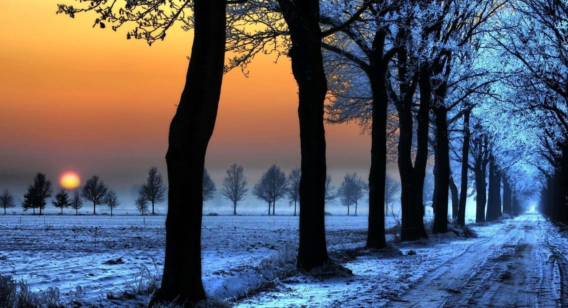 Enchanting Sunrise over Snowy Landscape Wallpaper