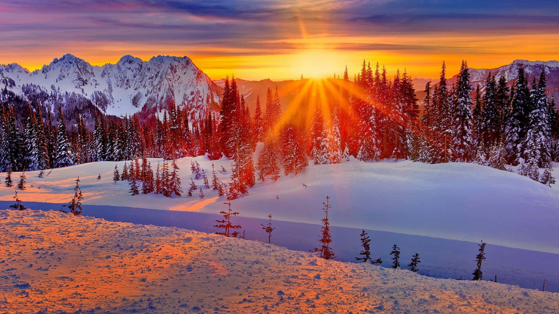 Snowy Landscape Bathed in Winter Sun Wallpaper