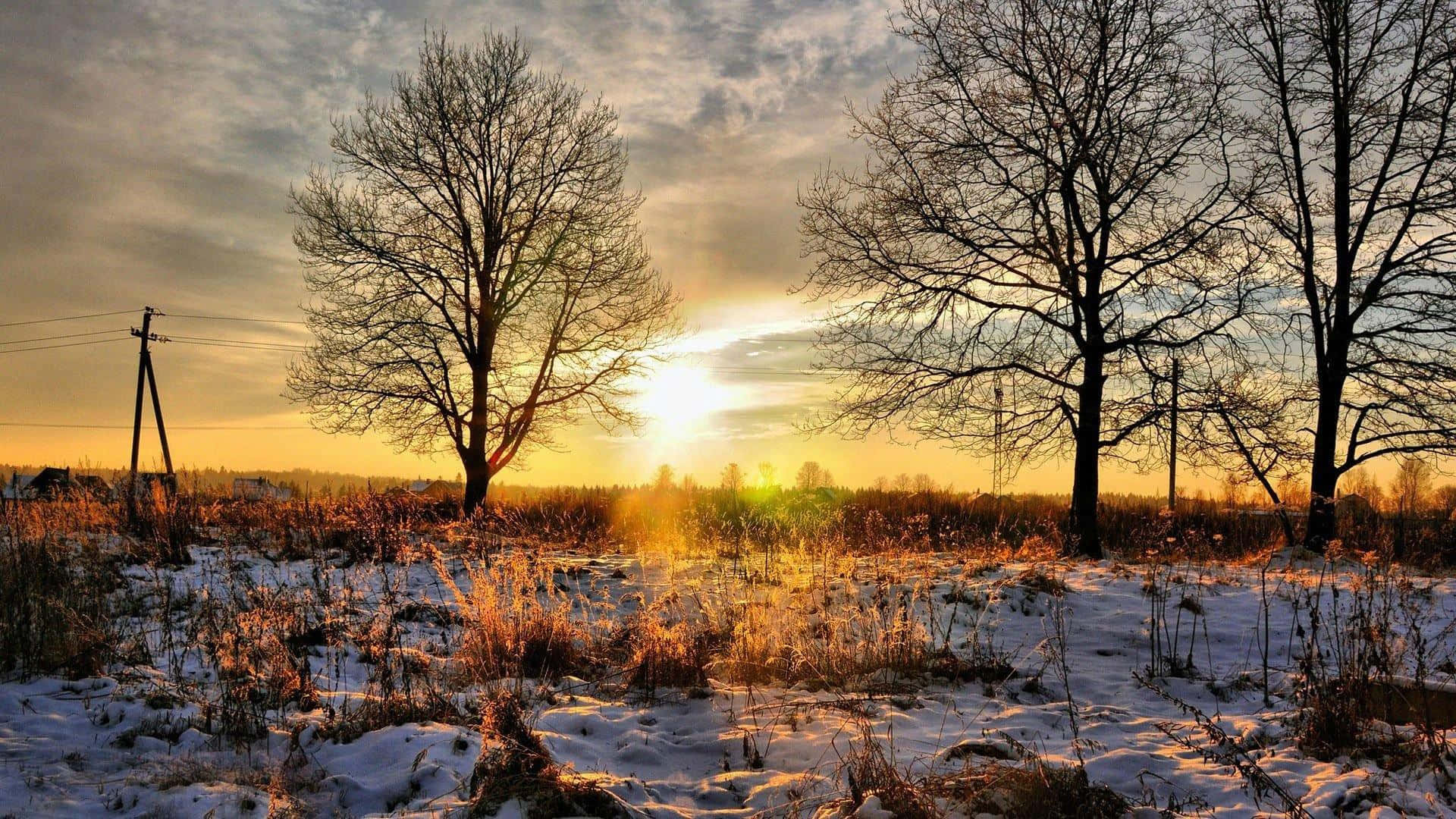 Breathtaking Winter Sun Landscape Wallpaper