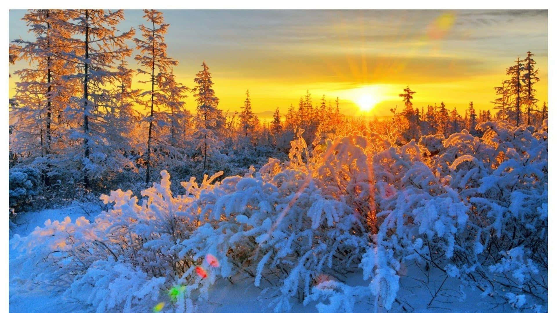 Solde Invierno Brillando Sobre Un Paisaje Cubierto De Nieve. Fondo de pantalla