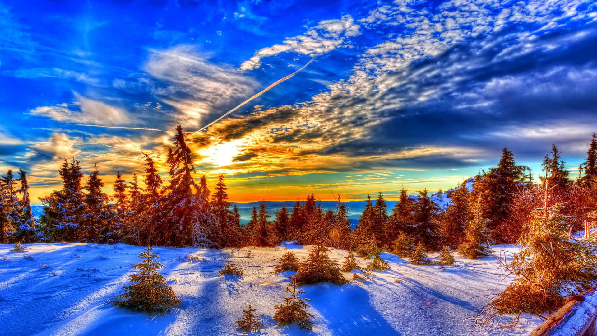 Majestic Winter Sun Shining Through Snow-covered Trees Wallpaper