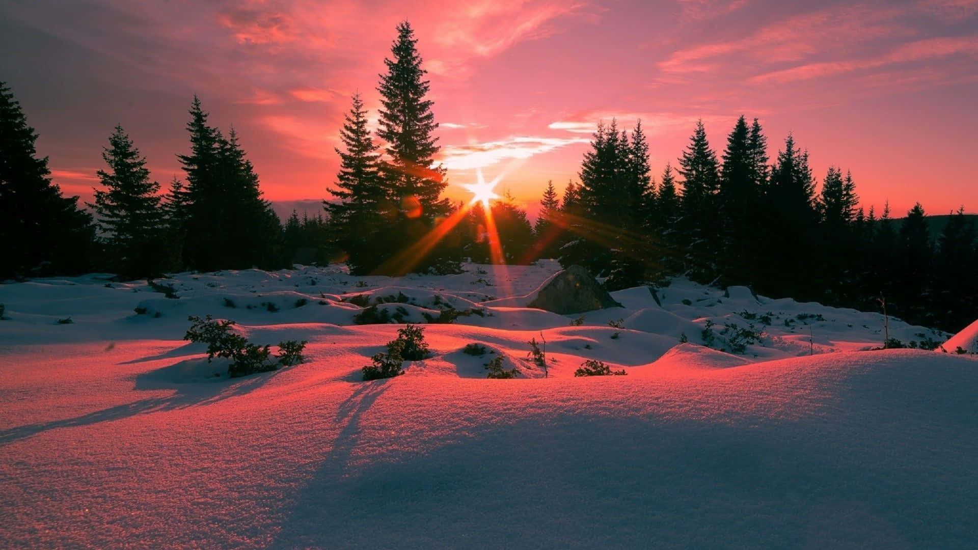 Majestic Winter Sun Shining over Snow-Capped Landscape Wallpaper