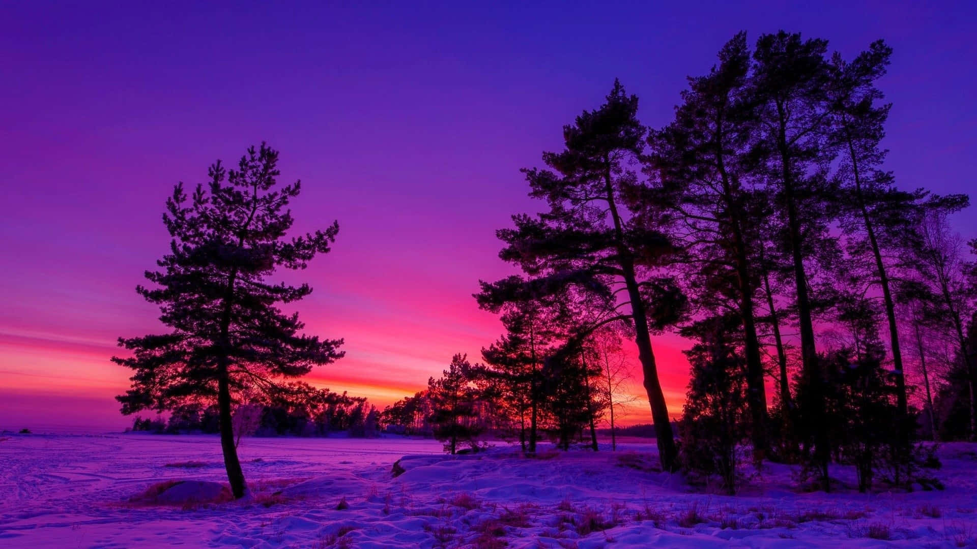 A Majestic Winter Sunset Wallpaper